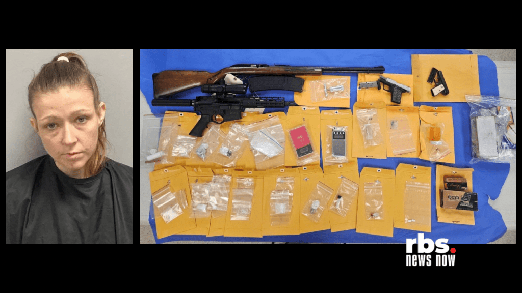 Henry County woman arrested after drugs, guns found during&nbsp;raid