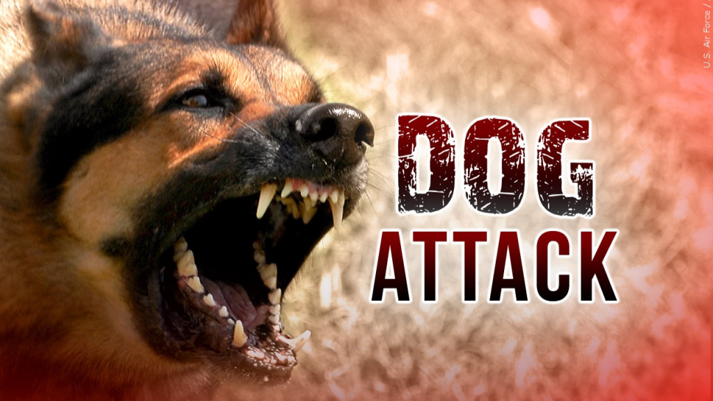 8-year-old boy dies after dog&nbsp;attack