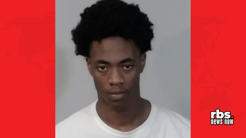 Two teens arrested after 18-year-old shot at her birthday party in Henry&nbsp;County