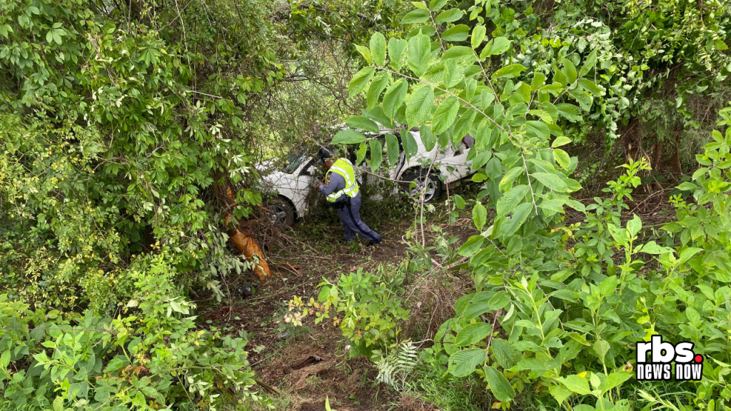 Police Identify 10-Year-Old Killed in Route 220&nbsp;Crash