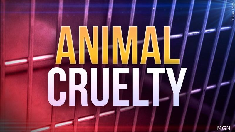 Former Henry County Deputy Charged After Dog Found With Collar Embedded in&nbsp;Neck